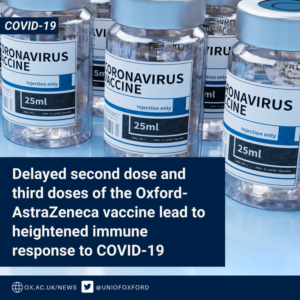 Read more about the article Delayed second dose and third doses of the Oxford-AstraZeneca vaccine lead to heightened immune response to SARS-CoV-2