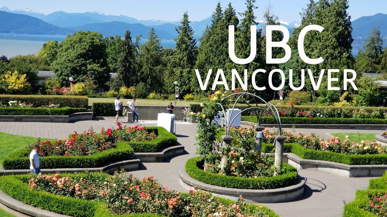 You are currently viewing UBC Vancouver: UBC community supports COVID-19 research with rapid antigen testing clinic