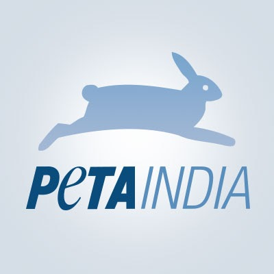 You are currently viewing PETA Affiliate Award for Students With Animal-Saving Ideas Announced Ahead of ‘World Youth Skills Day’