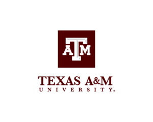 Read more about the article Texas A&M: Using Silicone Wristbands To Measure Air Quality