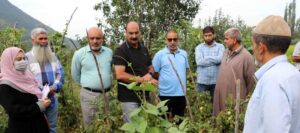 Read more about the article Director Agri Kmr takes on-field assessment of various Agricultural activities across Srinagar