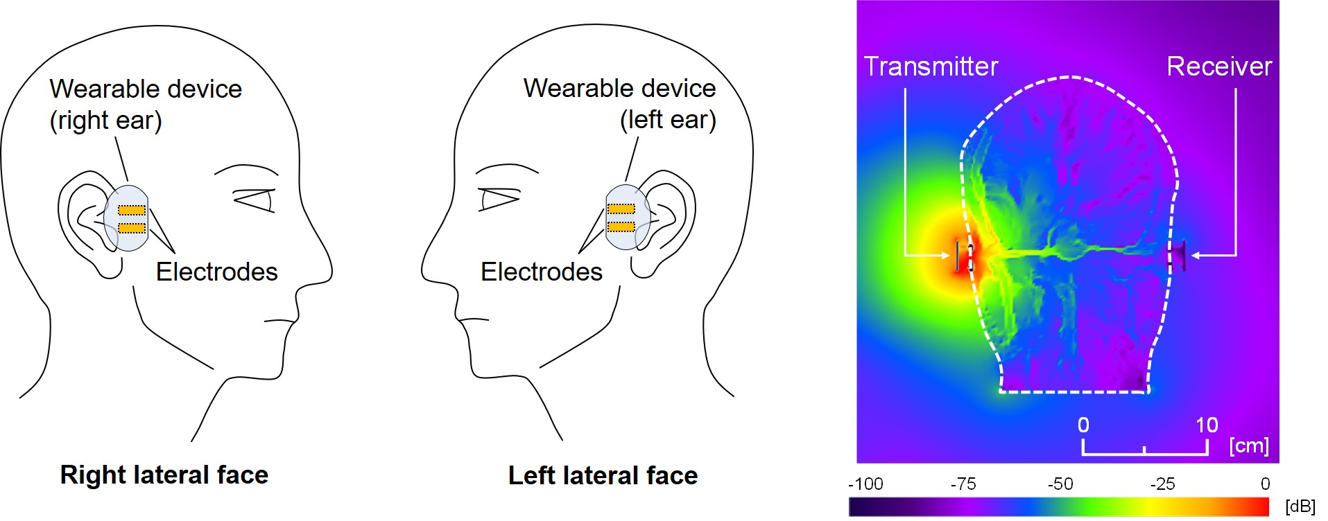 You are currently viewing All in Your Head: Exploring Human-Body Communications with Binaural Hearing Aids