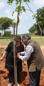 Read more about the article WWF India and Sri Ram Chandra Mission Foundation (Heartfulness Institute) join hands to adopt 50,000 trees in Hyderabad