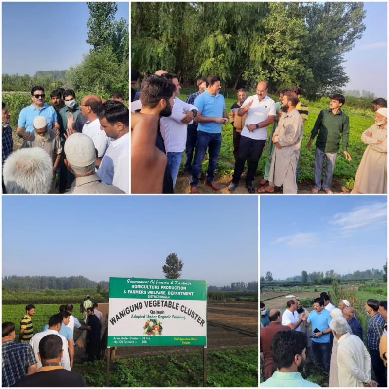 You are currently viewing Director Agri Kmr visits Organic Vegetable Cluster Wanigund, Kulgam