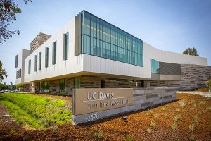 Read more about the article University of California, Davis: Festival Celebrates Newest New Olive Oil