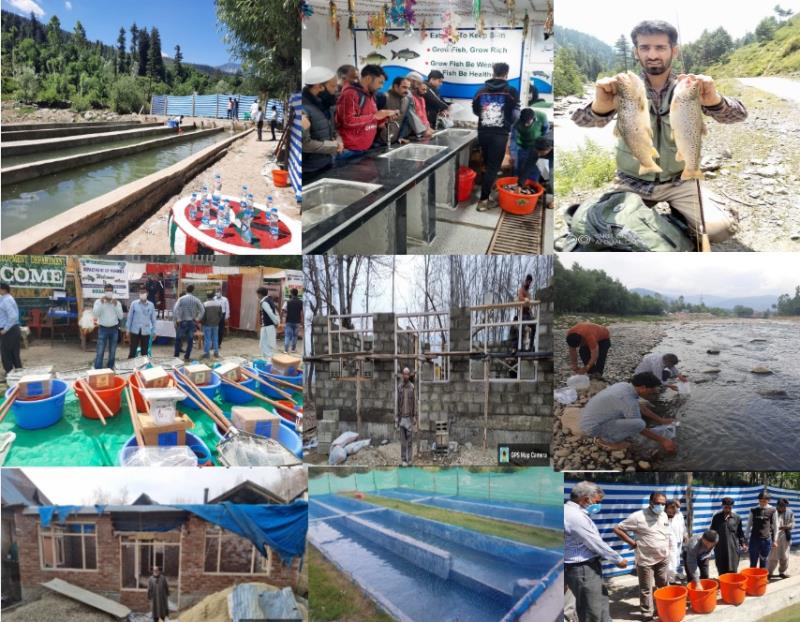 You are currently viewing Unemployed/educated youth of district Kupwara chose Fisheries, a viable, lucrative business