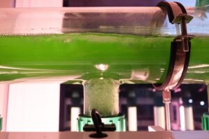 Read more about the article Scottish laboratory opens new centre to unlock algae potential