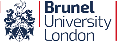 You are currently viewing Brunel University London: Zero-carbon future fuel for ships and lorries