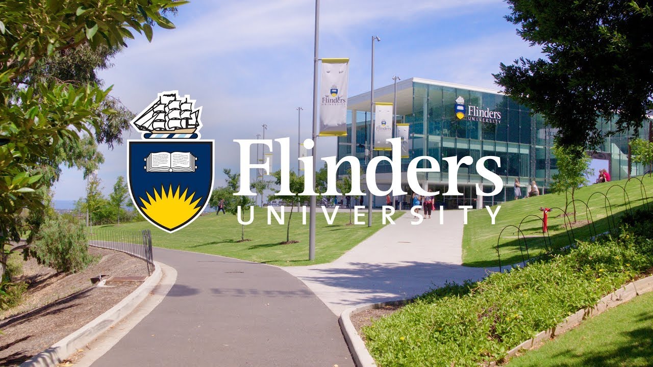 You are currently viewing Flinders University: Hawk eyes reveal hunters visual secrets