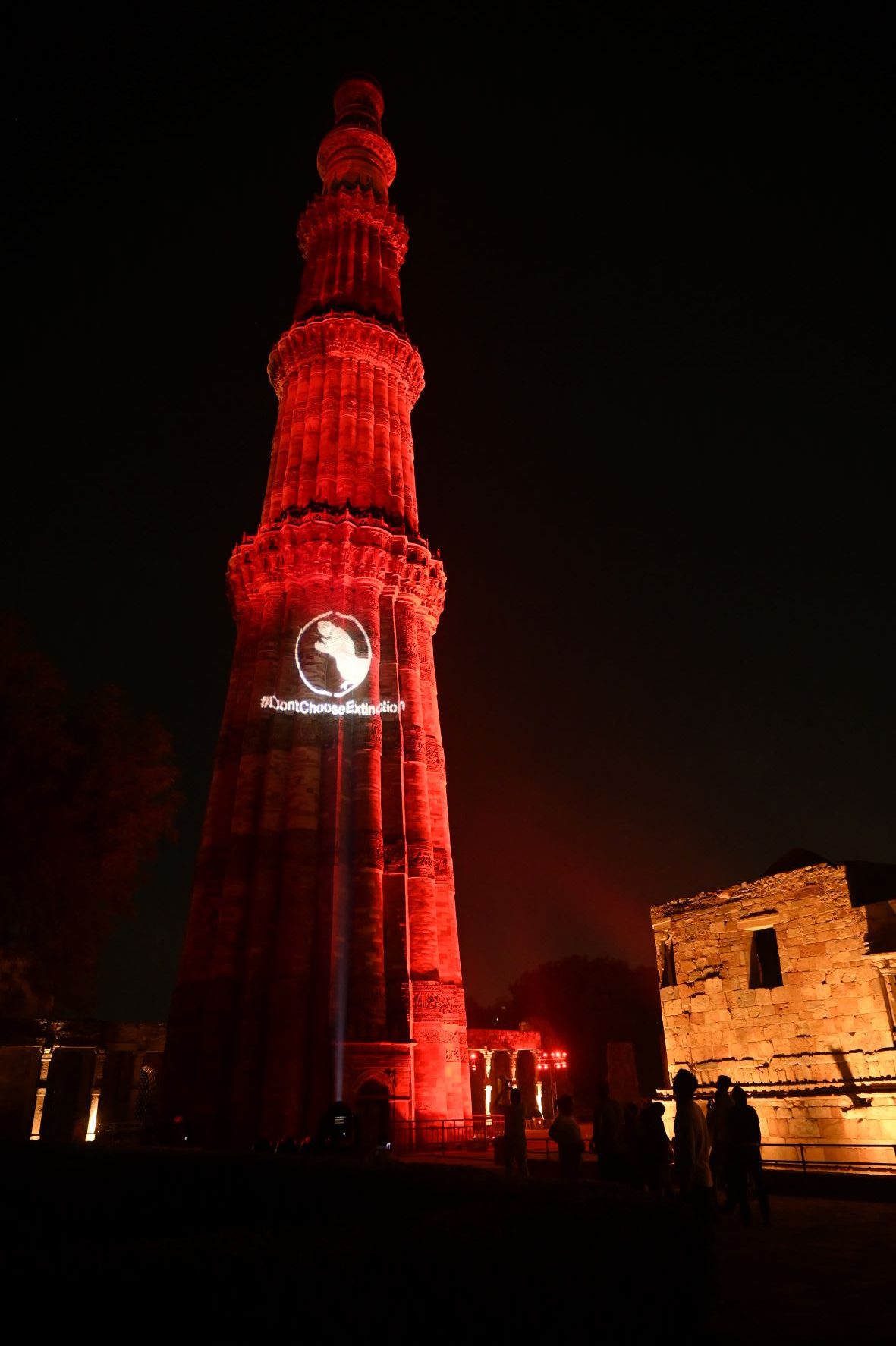 You are currently viewing World Environment Day: UNDP lights up Qutub Minar and Safdarjung’s Tomb with dinosaur to raise awareness on climate action