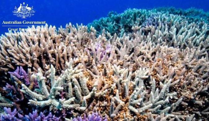 You are currently viewing UN panel has recommended that Australia’s #GreatBarrierReef should be listed as a world heritage site that is in danger