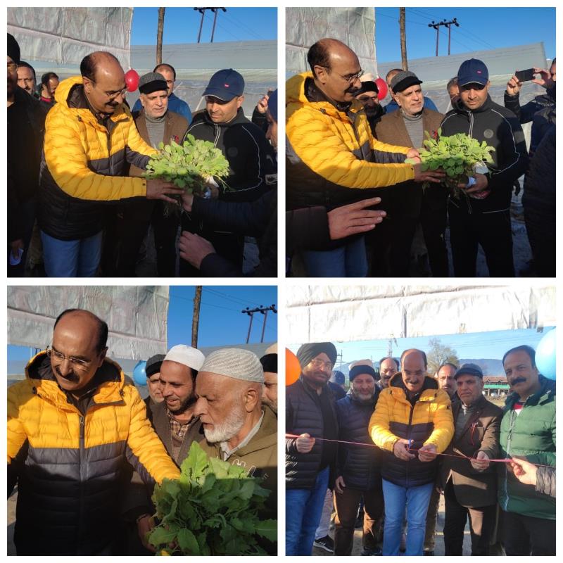 You are currently viewing Director Agri inaugurates distribution of Vegetable Seedlings raised under Hi-tech polyhouses