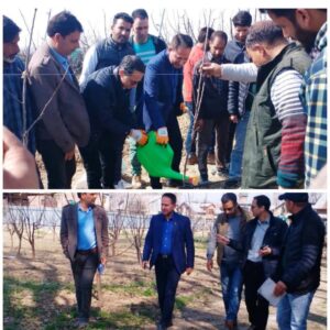 Read more about the article Director Horticulture Kashmir visits Pulwama, Shopian