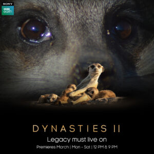 Read more about the article Sony BBC Earth launches the second season of much anticipated series ‘Dynasties’