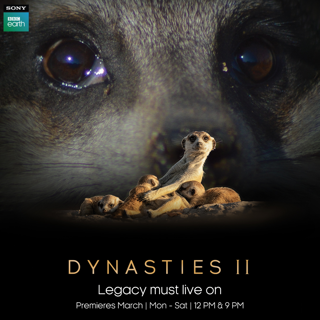 You are currently viewing Sony BBC Earth launches the second season of much anticipated series ‘Dynasties’